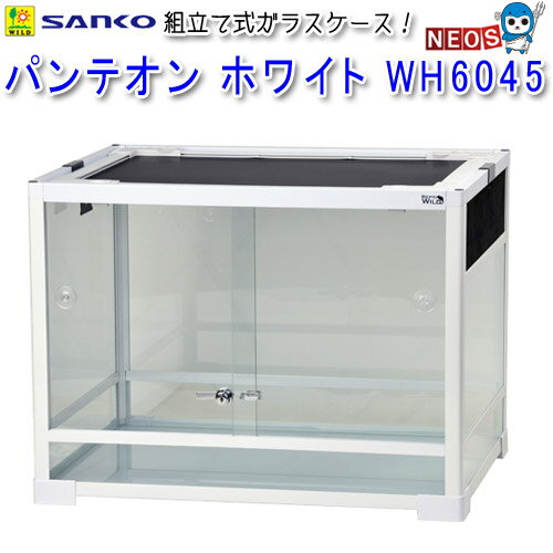 sanko20220504-17_1.jpg