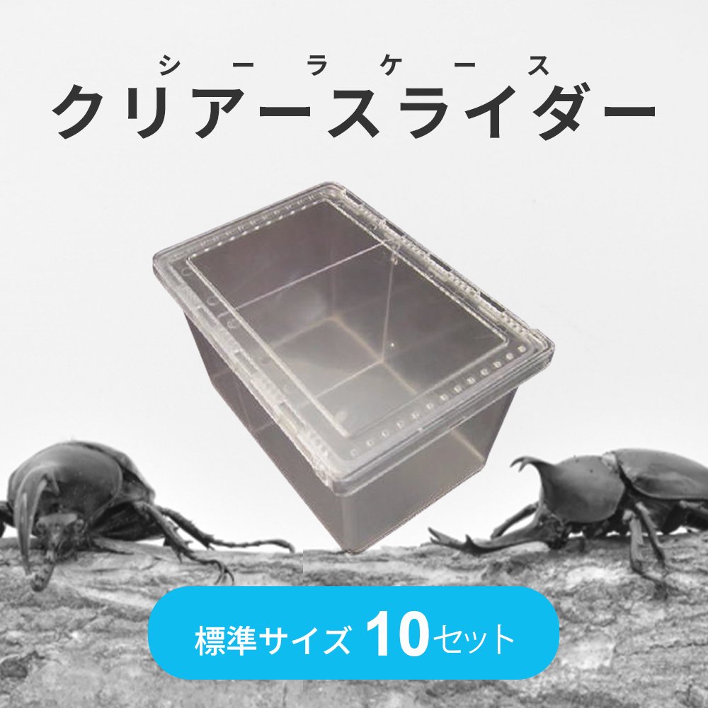 楽天市場】クリア スライダーの通販