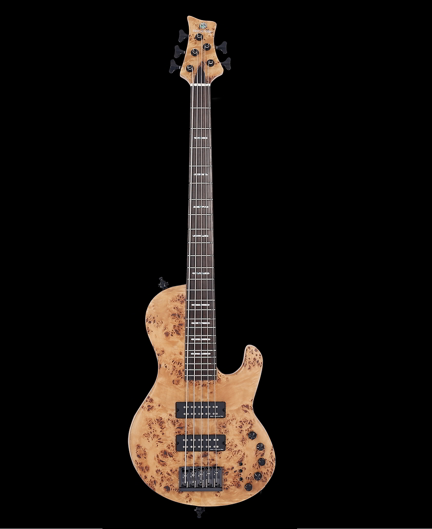 SIRE F10シリーズ 5弦エレキベースF10-5 NTS新品在庫状況をご確認