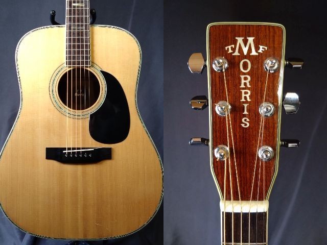 W-50 Morris - ギター大図鑑 PoloPPo