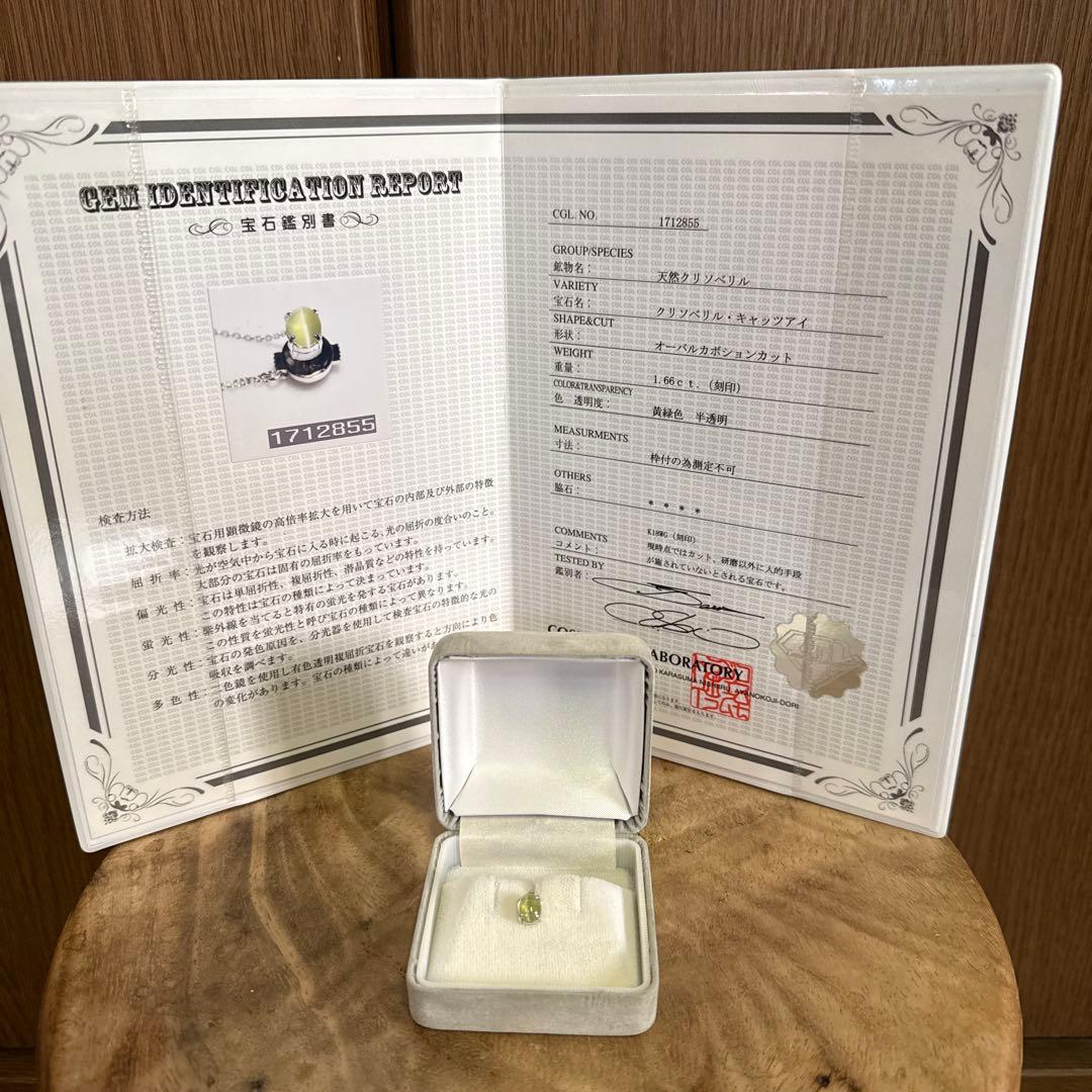 ネクタイピン　925 宝石鑑定書付き imgrc0155450092.jpg