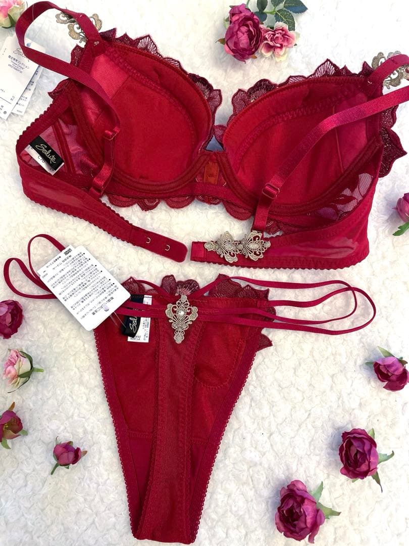 サルート C70/M 29 RE ガレ 限定コレクション - メルカリ