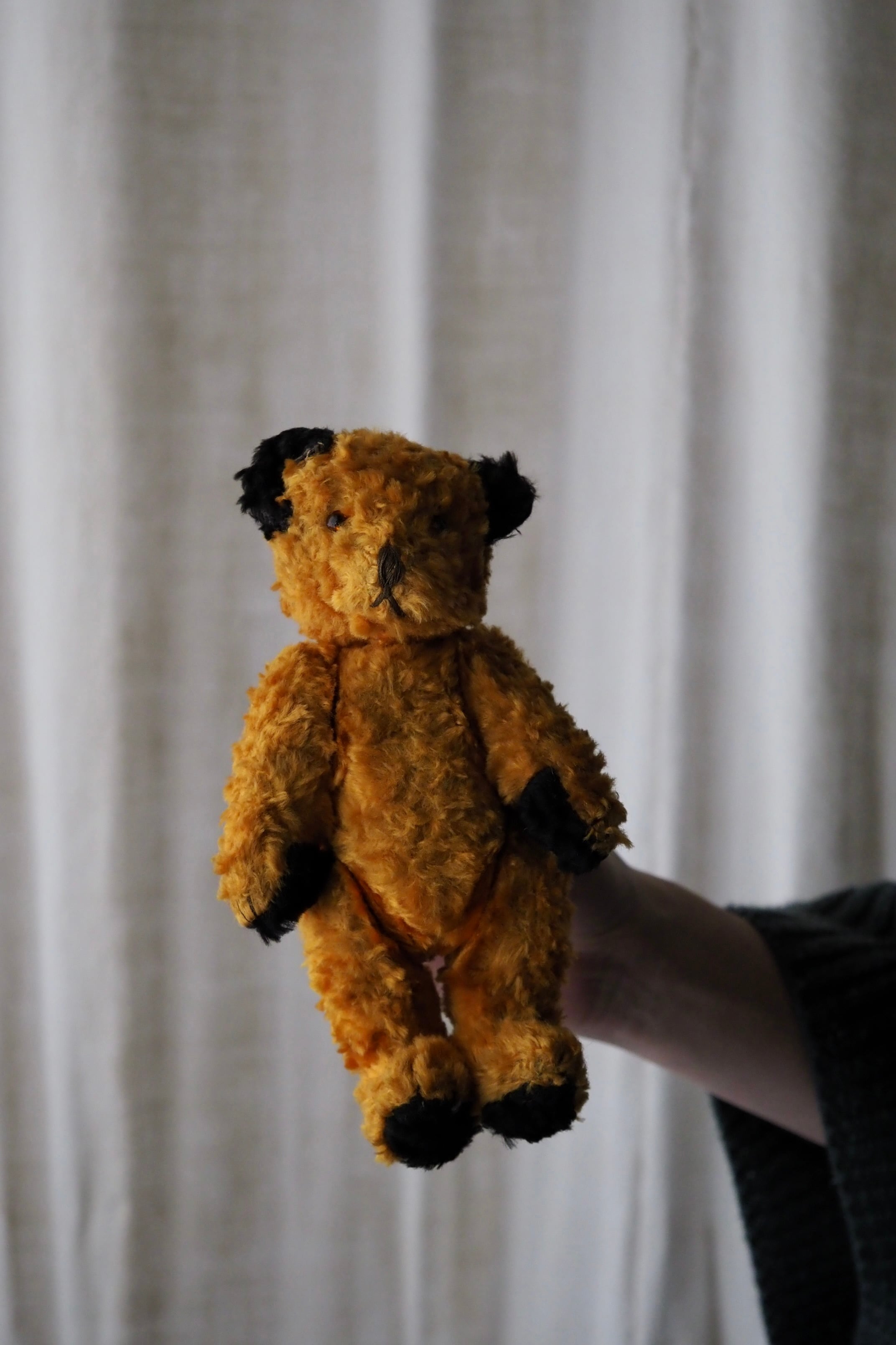 首を傾げるスーティーベア-vintage teddy bear | アンティーク
