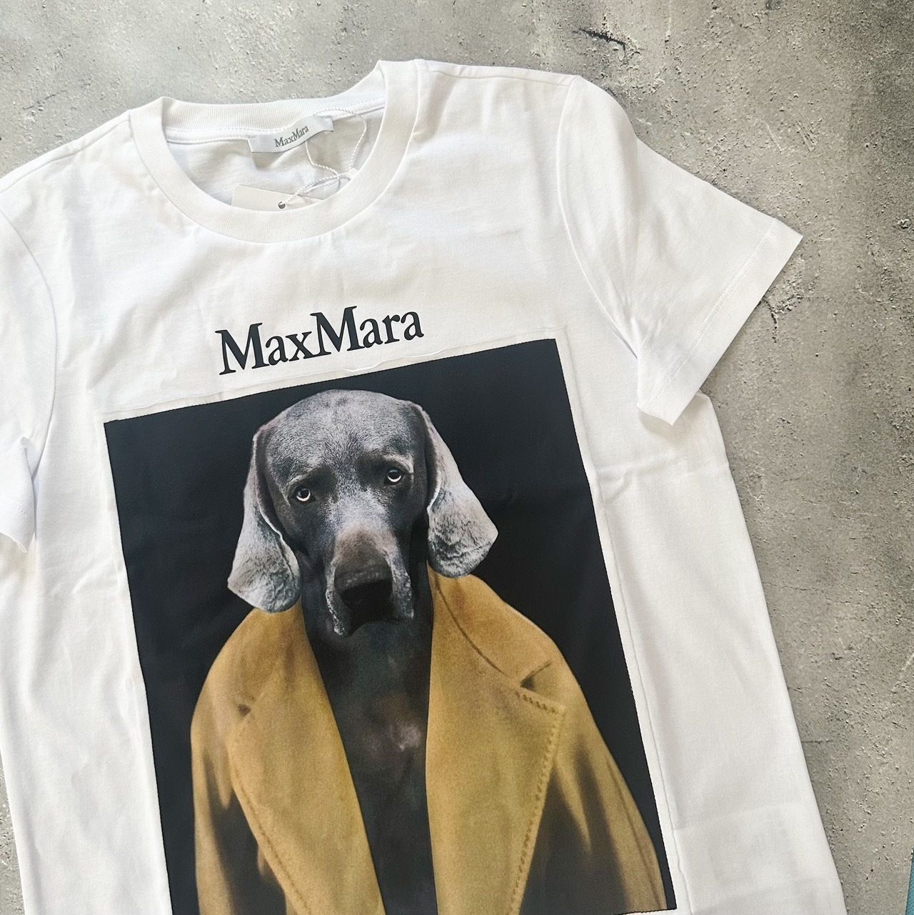 Max Mara(マックスマーラ)』の人気トップス「ドッグTシャツ」まとめ